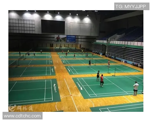 广州羽毛球队运营模式解析与发展趋势探讨